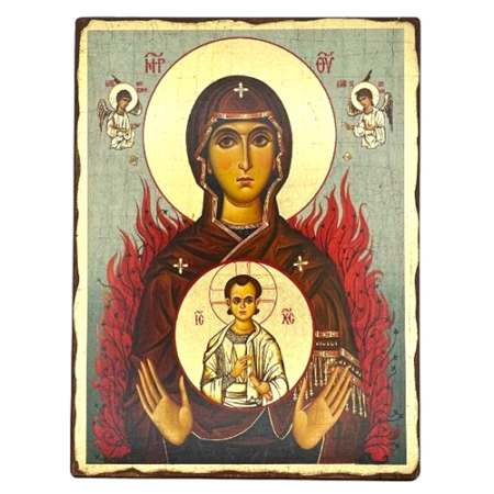 Icon of Virgin Mary Burning Bush SW Series (Standard Style), Spiritual Artwork